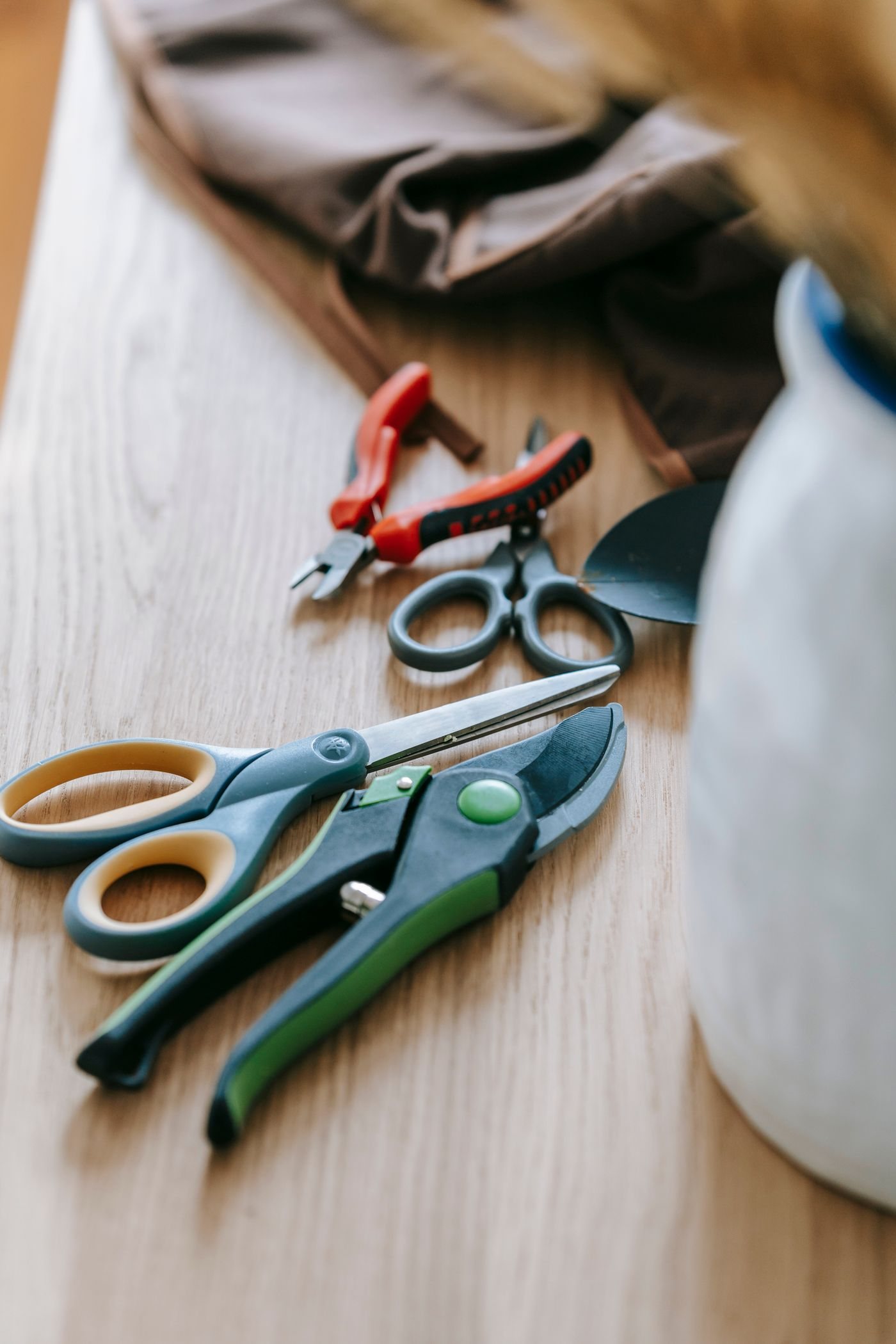 Secateurs and small cutting tools laid out together