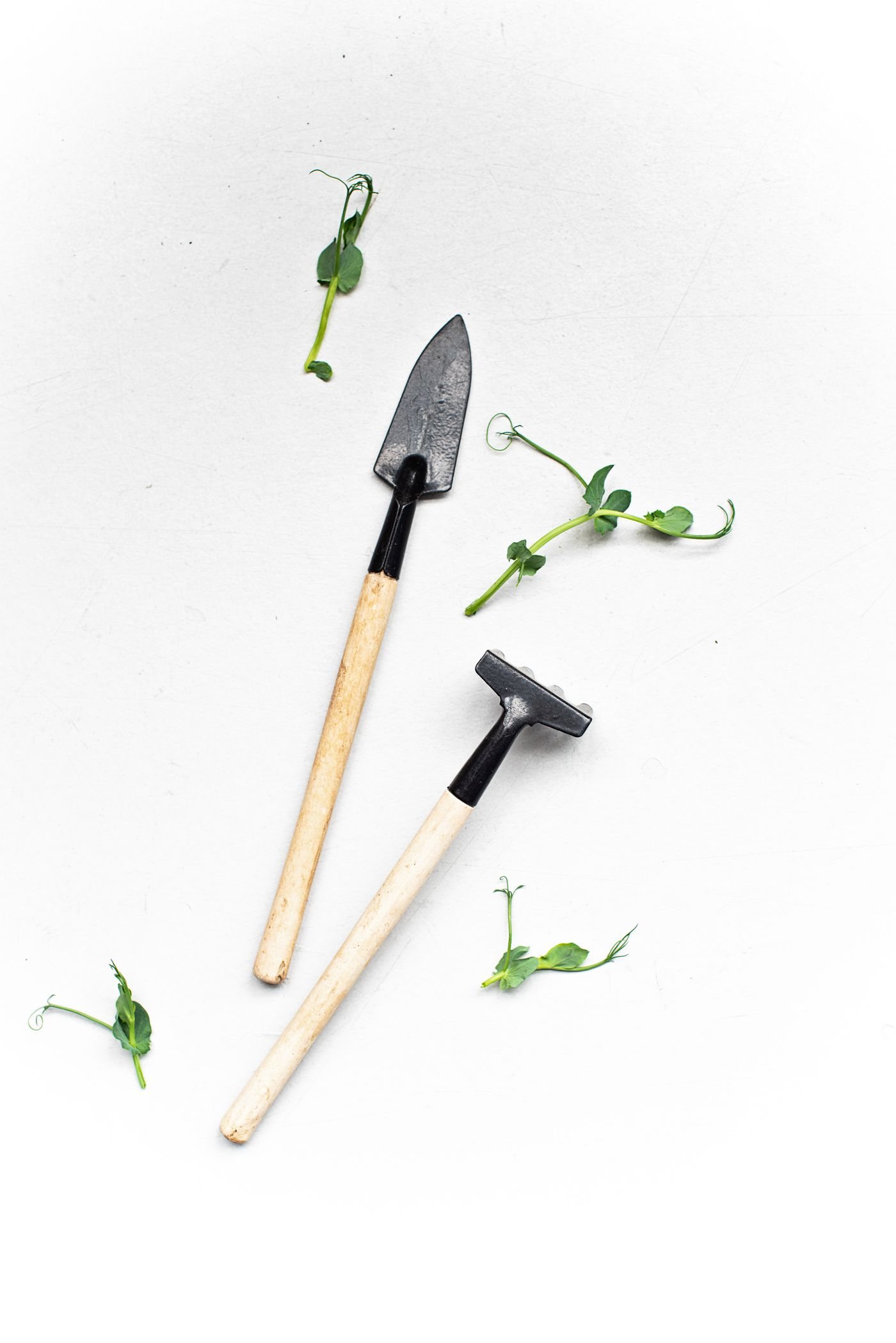 Small gardening tools and green leaves on a light surface