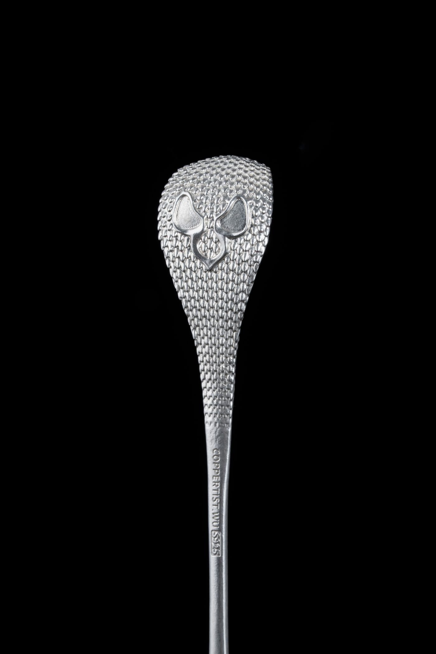 A polished decorative silver spoon against a dark background