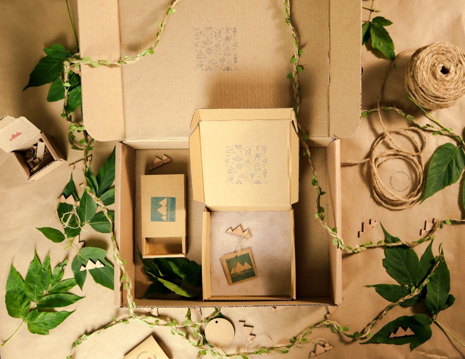 An assortment of cardboard packaging shapes laid out flat