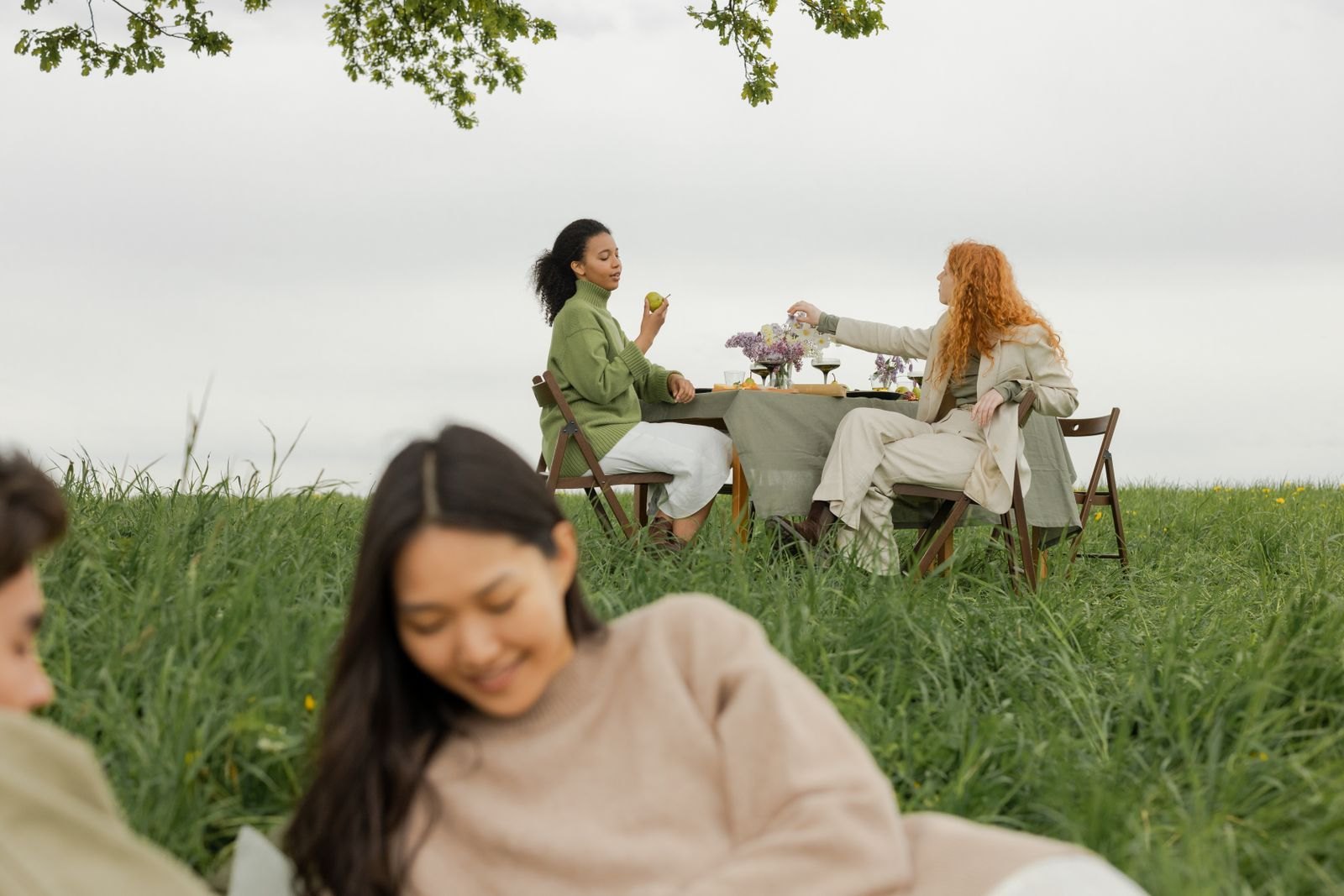 Friends sharing a picnic on a grassy meadow
